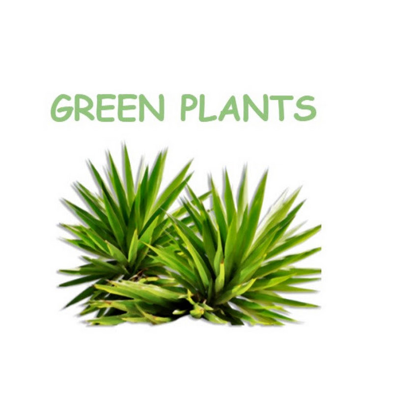 Green Plants