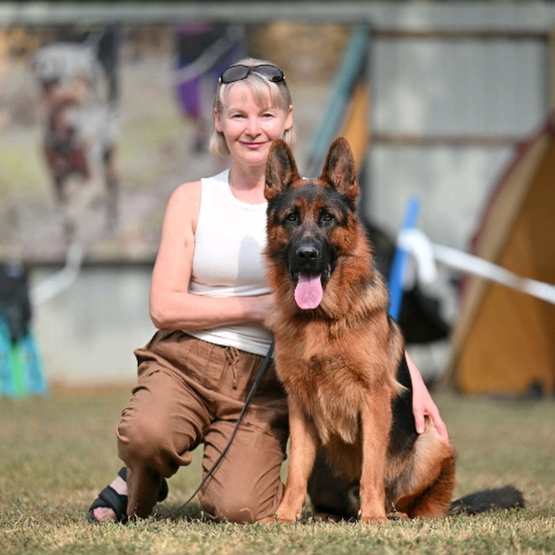 German Shepherd And Dog Breeds