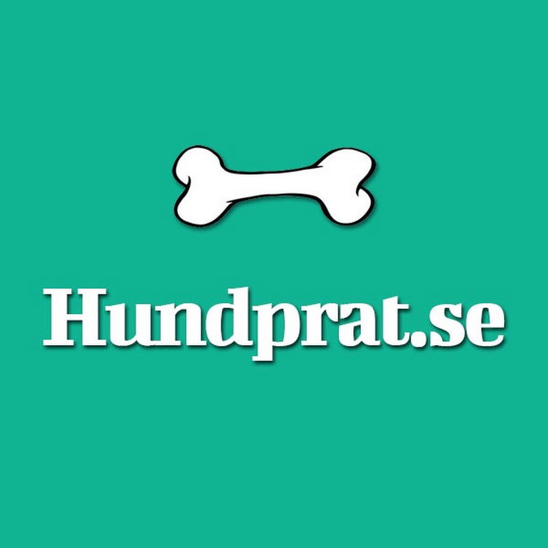 Hundprat
