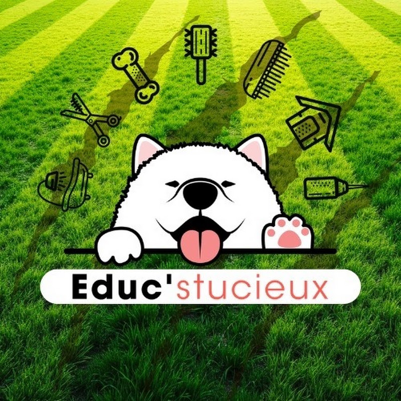 EDUCSTUCIEUX