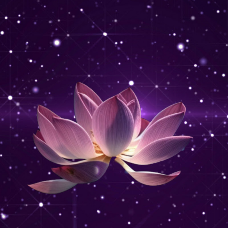 Zen And Soul