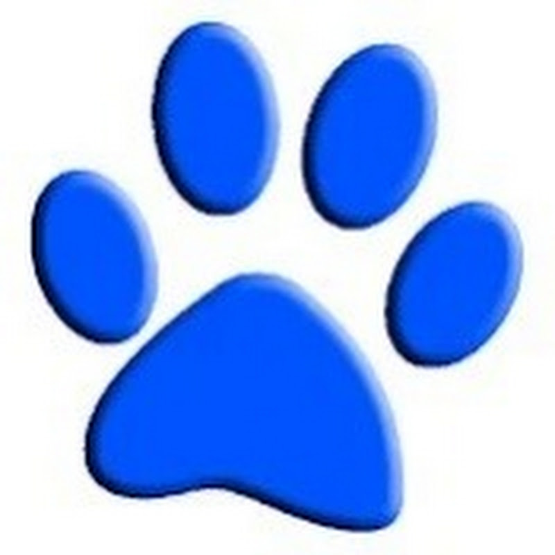 Like_kitten_youtube