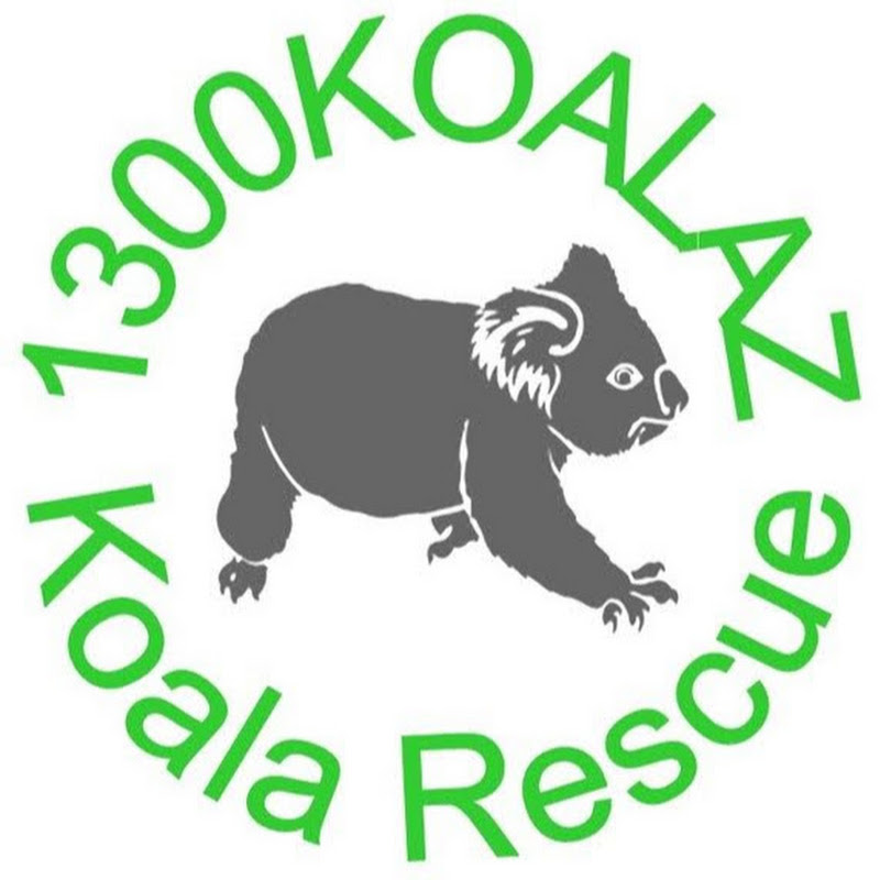 1300KOALAZ Koala Rescue