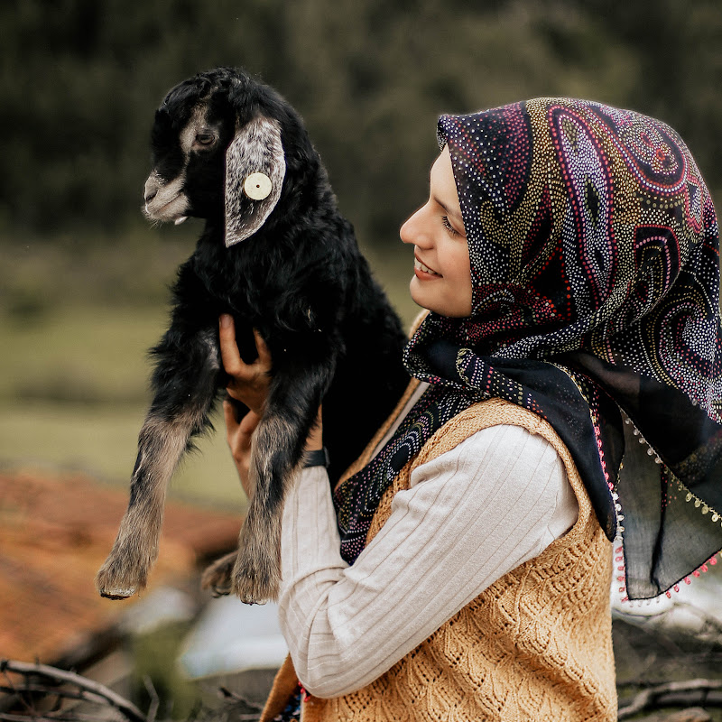 Nurgül Akdoğan