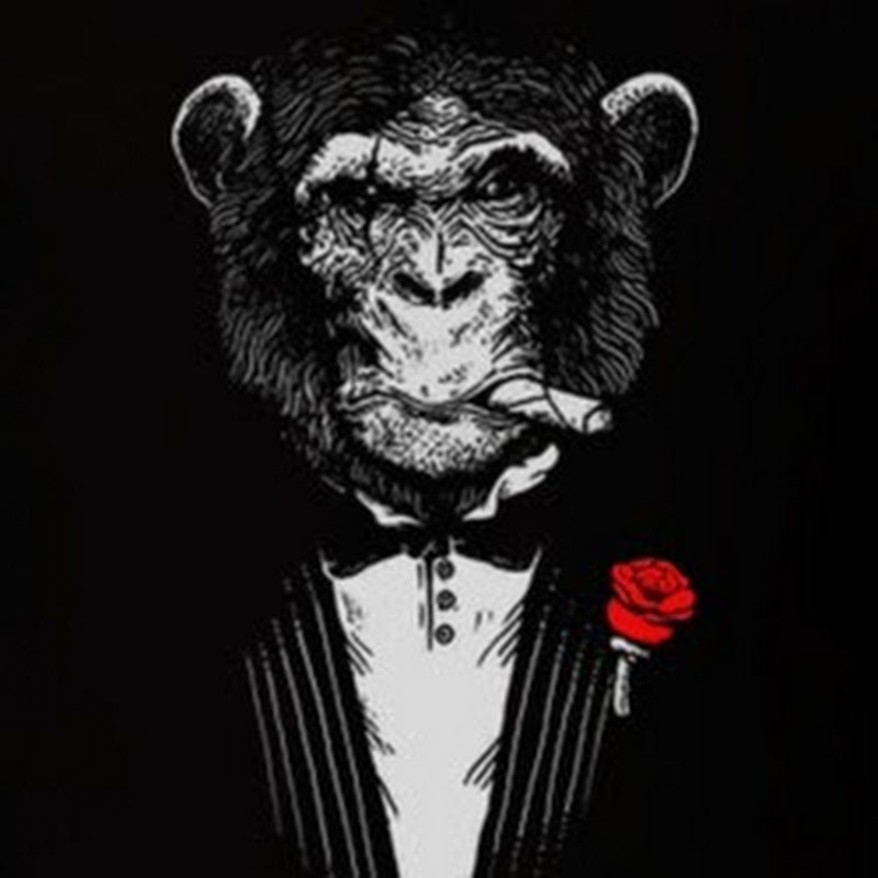 Papa Chimp