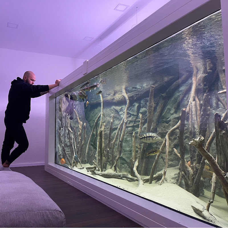 rodneysfishtank