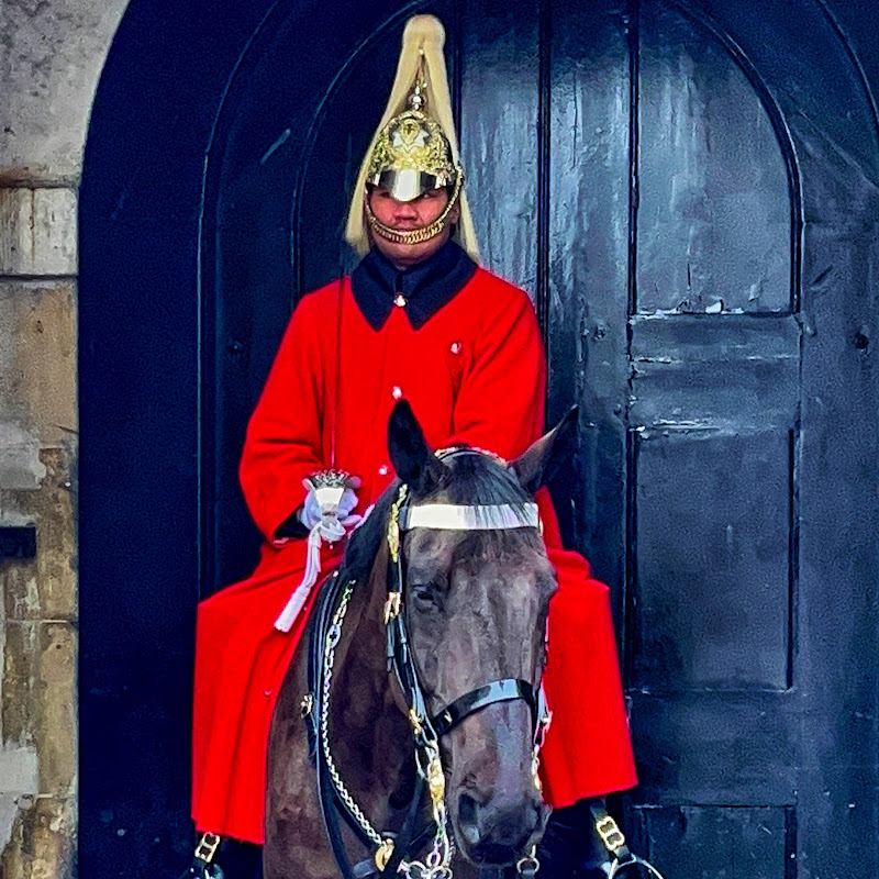The Royal King’s Guards England