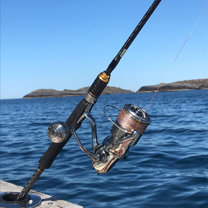 Fjordfiskegutta
