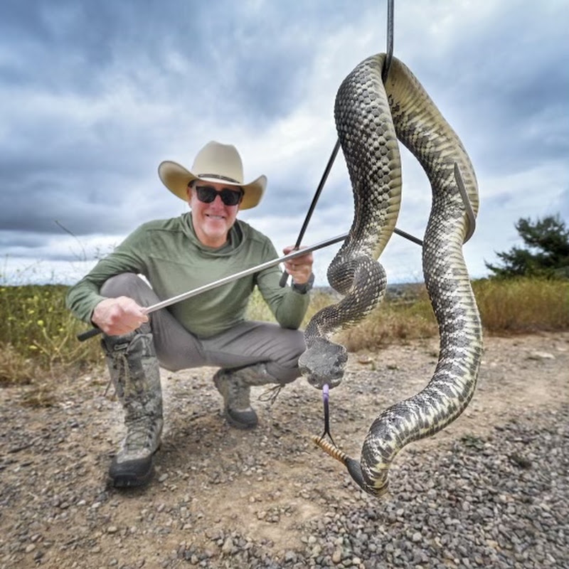 Bruce Ireland ⭐️ Pro Snake Wrangler Venmo@bruceireland