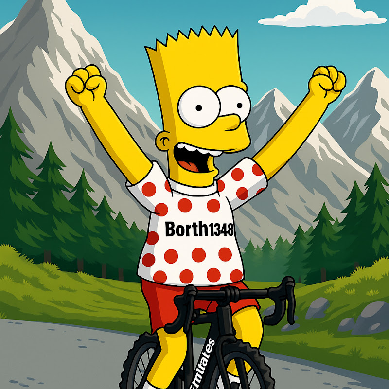 Borth1348