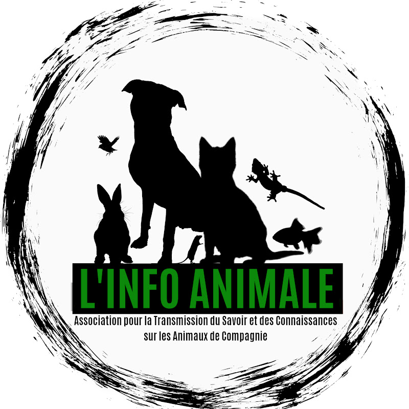 L'Info Animale ATSCAC