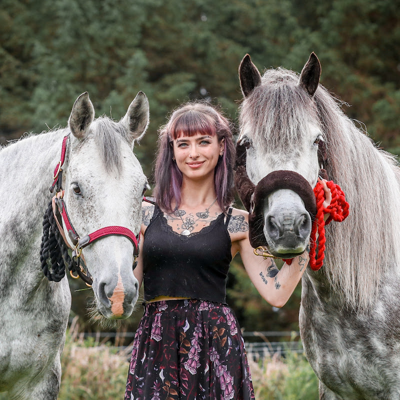 molly & the greys