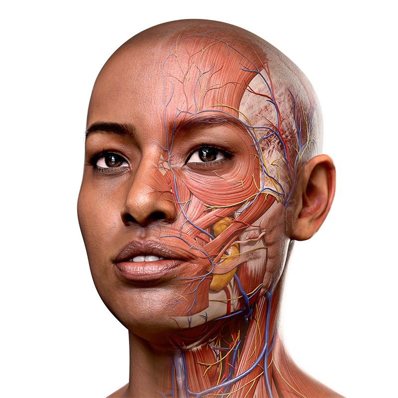 3D4Medical From Elsevier
