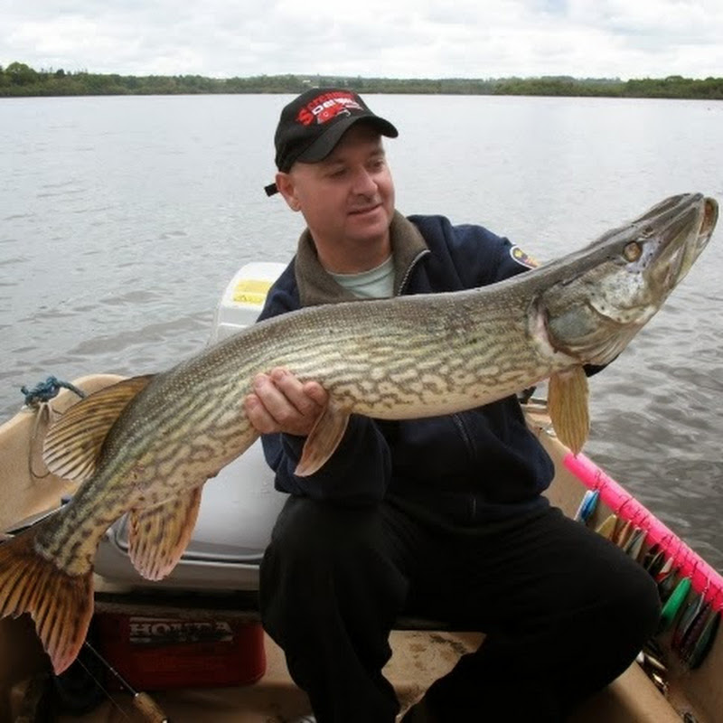 Www.pike.world