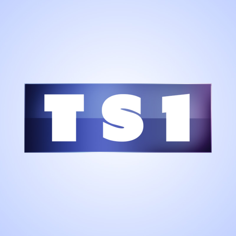 TS1sims
