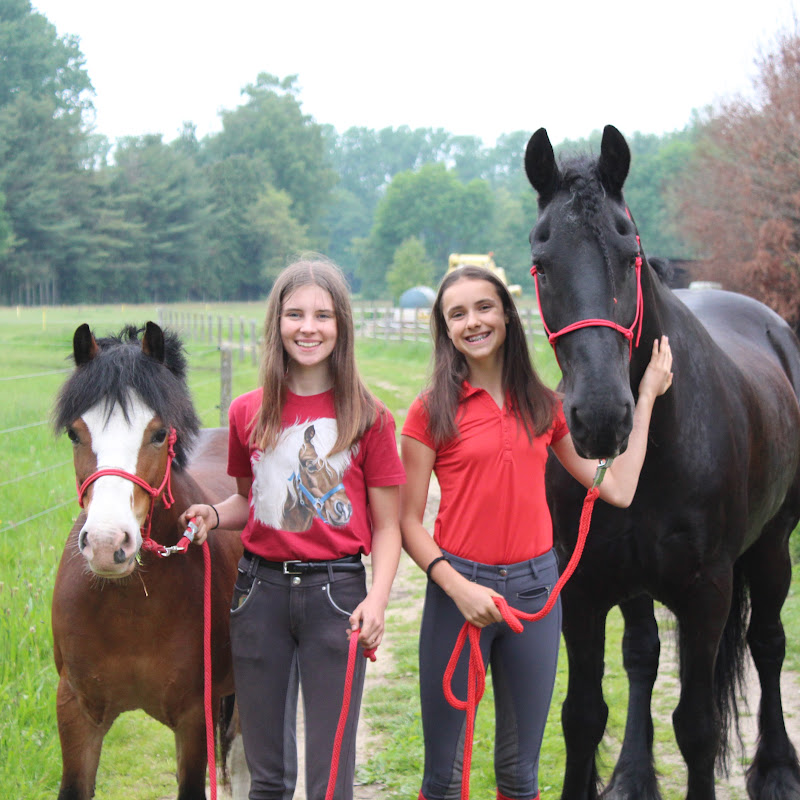 HorseFun