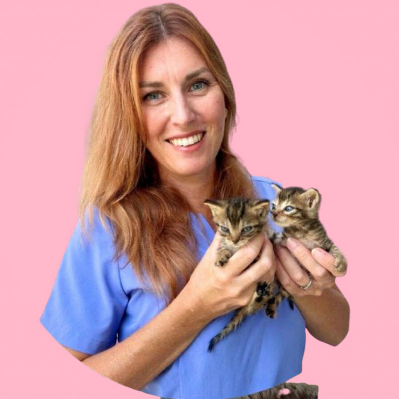 Lary E Il Mondo Dei Gattini | Impara A Salvare Un Gattino