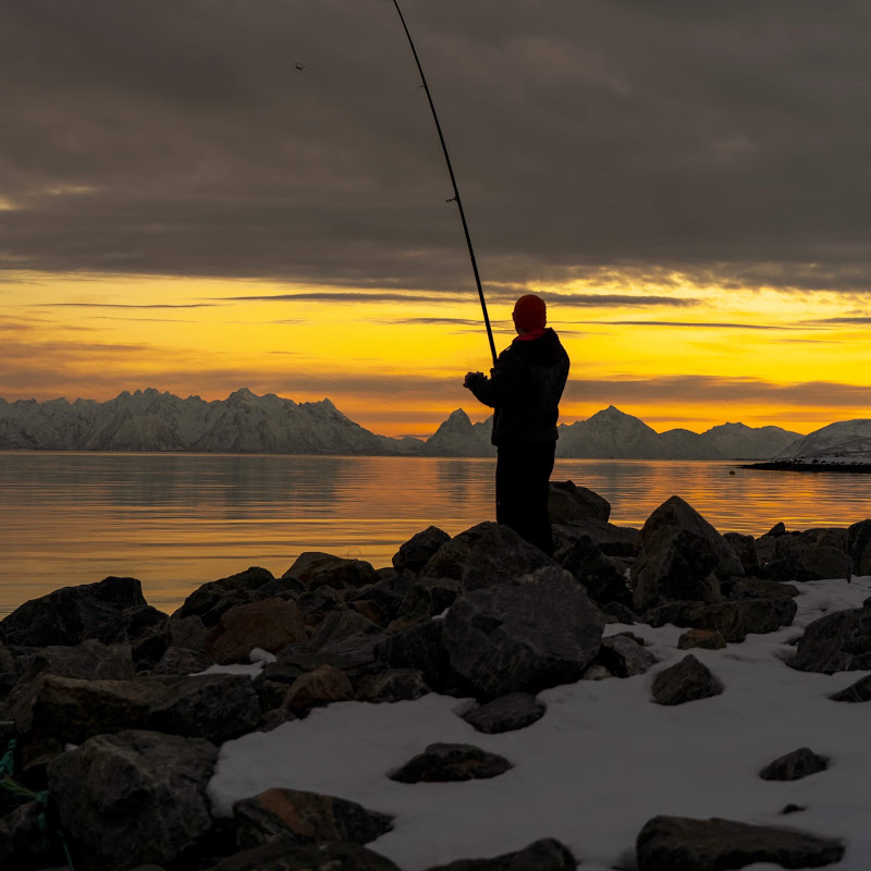 Globus fishing