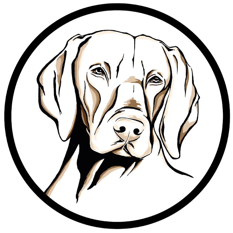 Hundeschule Alpha Dog