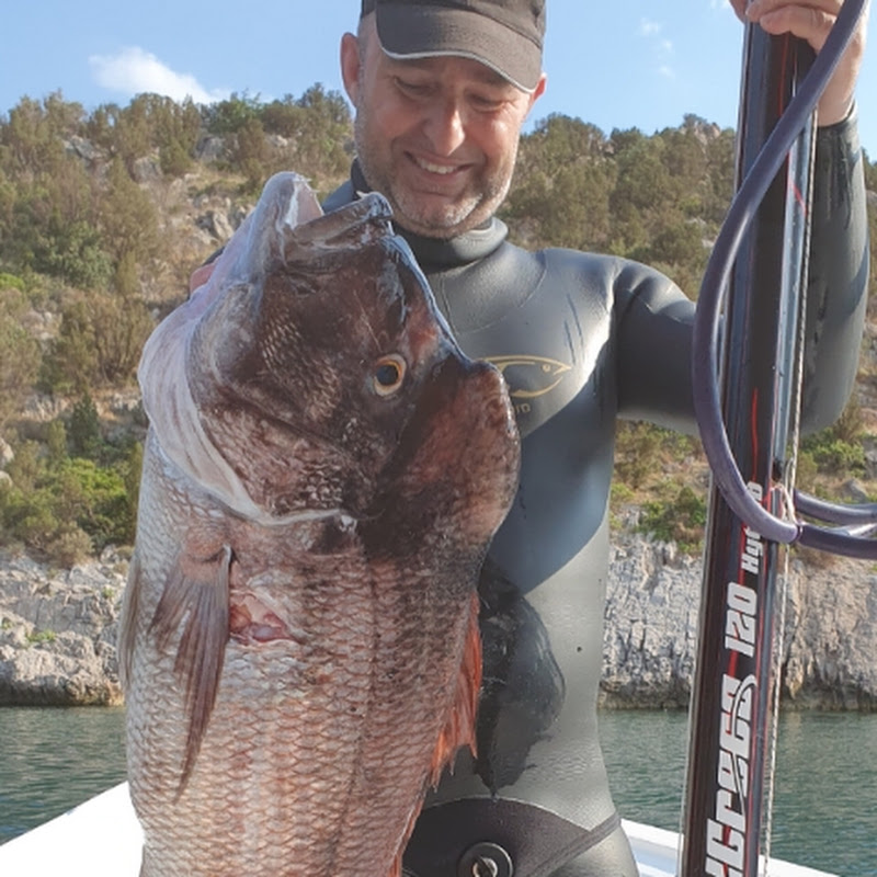 Spearfishing Sakis Tsonis