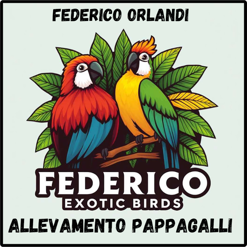 ? Federico Orlandi ?