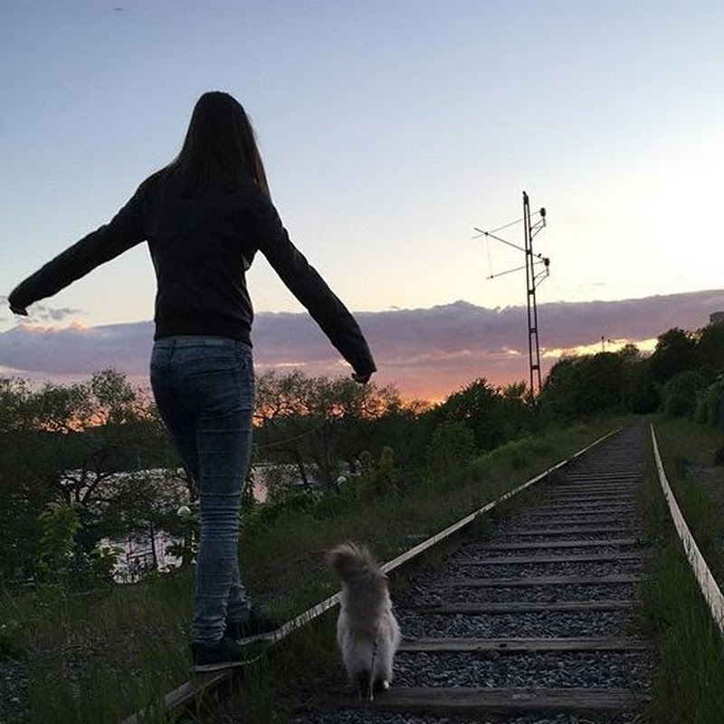 Stockholm Walks