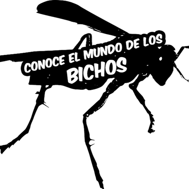 CONOCE EL MUNDO DE LOS BICHOS