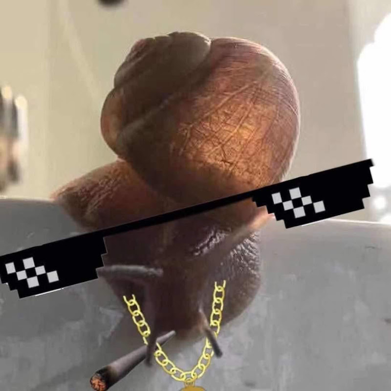 Lizishu