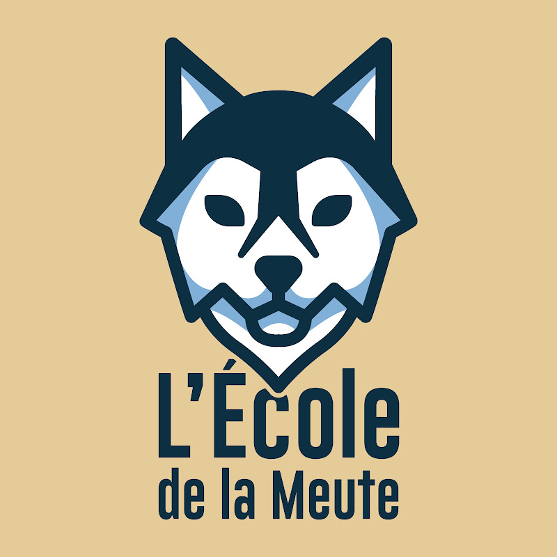 Clem & Théo • Éducation Canine