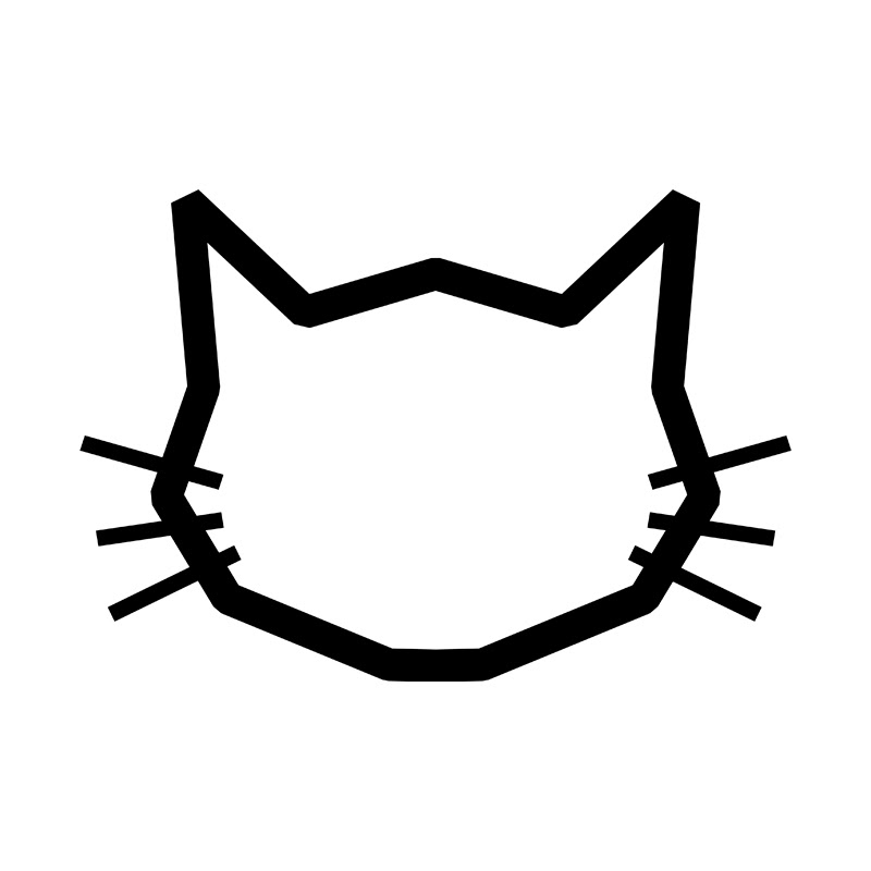 THE CATOGRAPHER