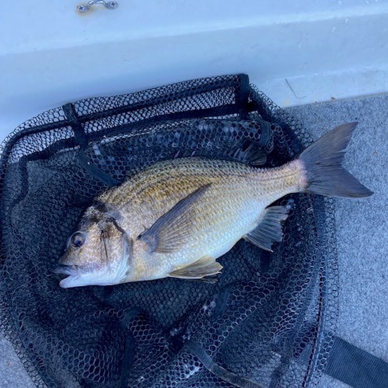 Well Hooked WA