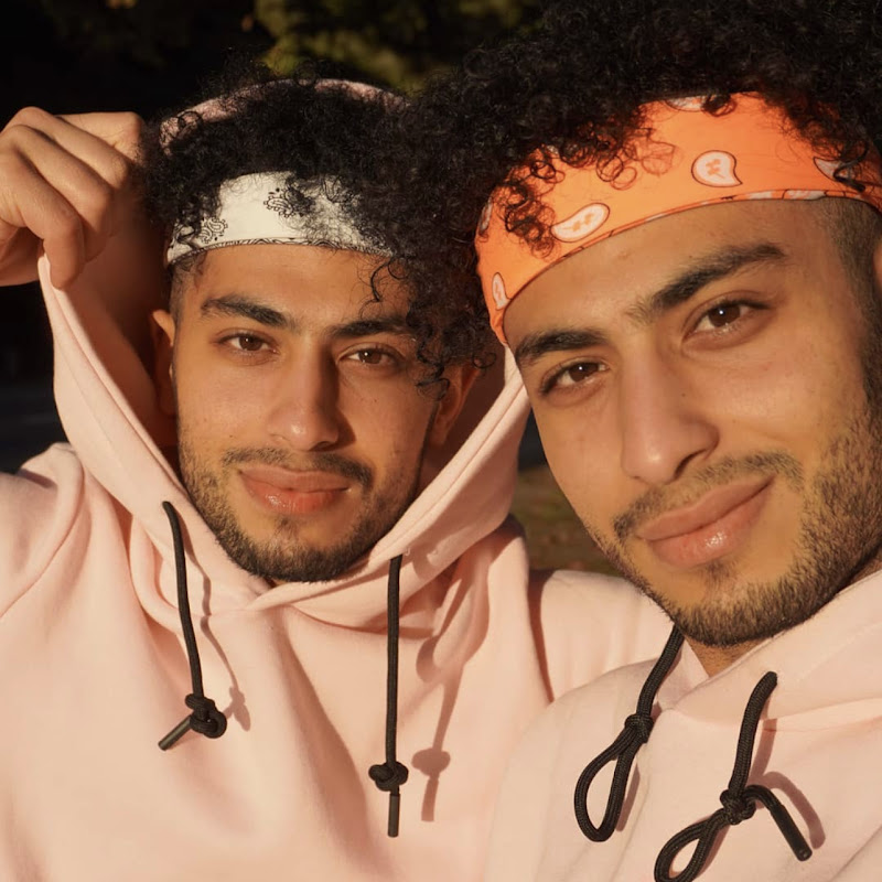 Twins_التوأم