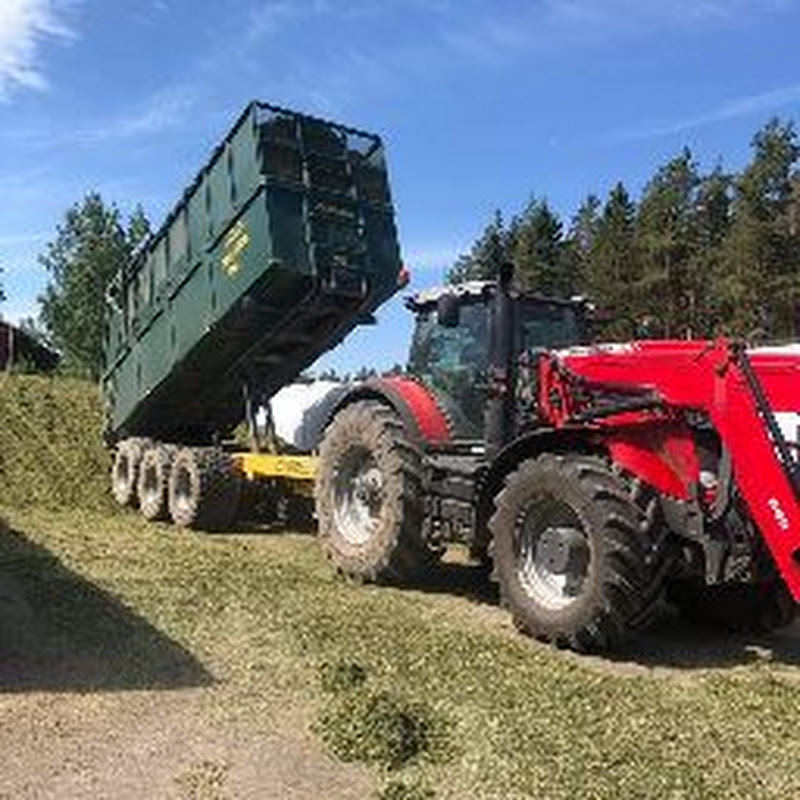 Pylkkynen