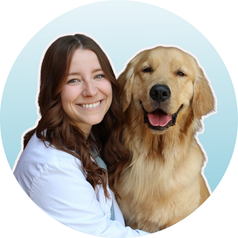 Amanda | New Grad Vet