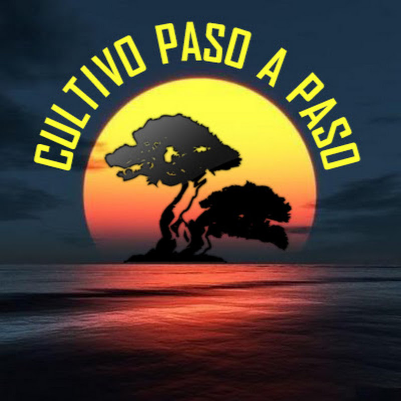 David Cultivo Paso A Paso