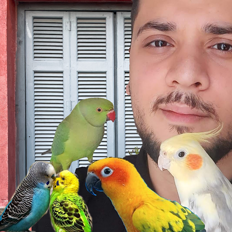 أمين كادورة AMEN KADURA