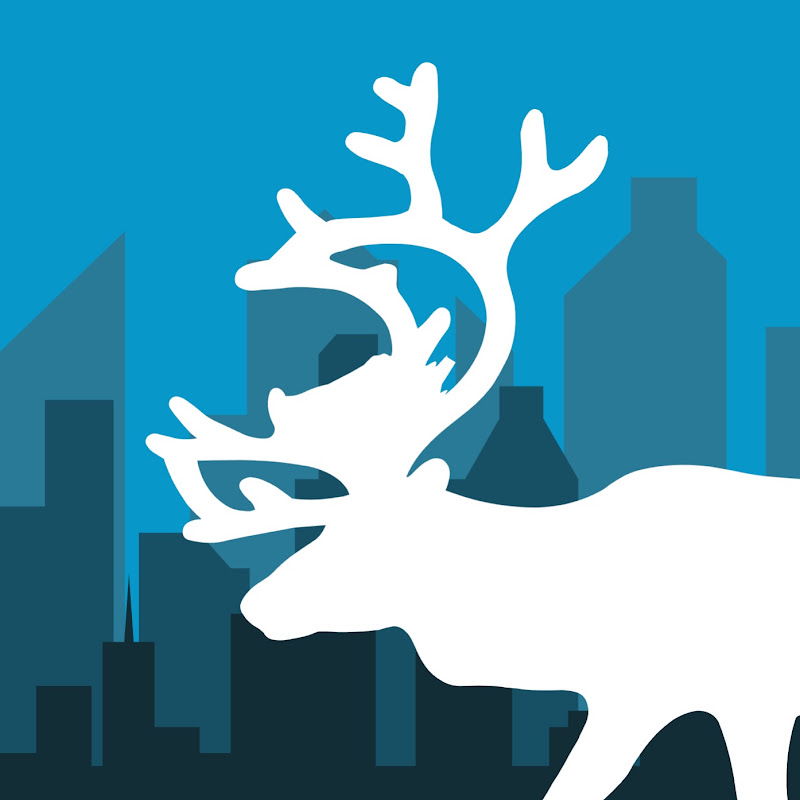 CityMoose