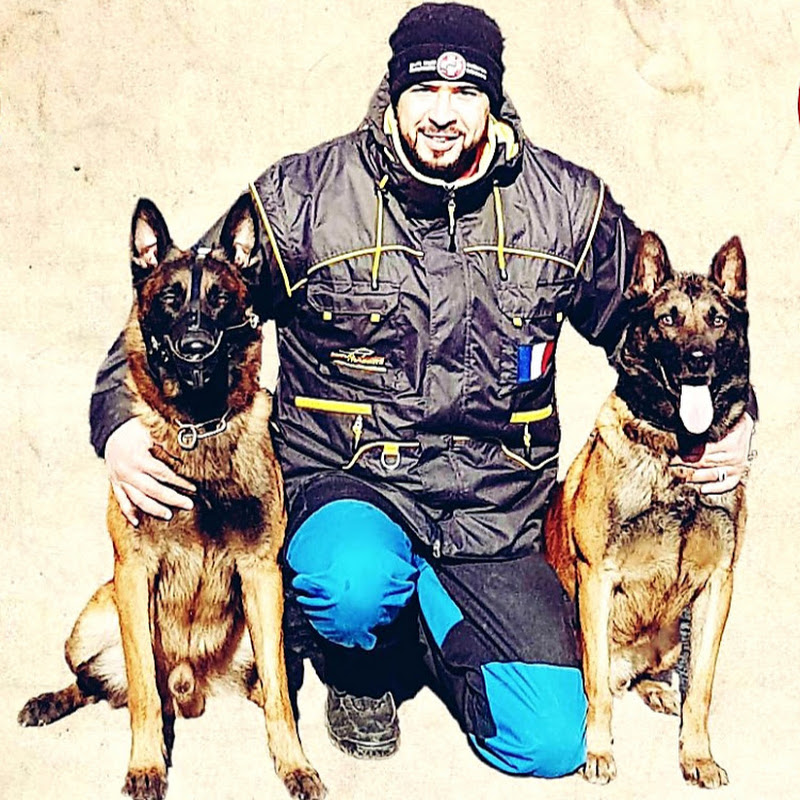 Pro-Canin خالد بادي