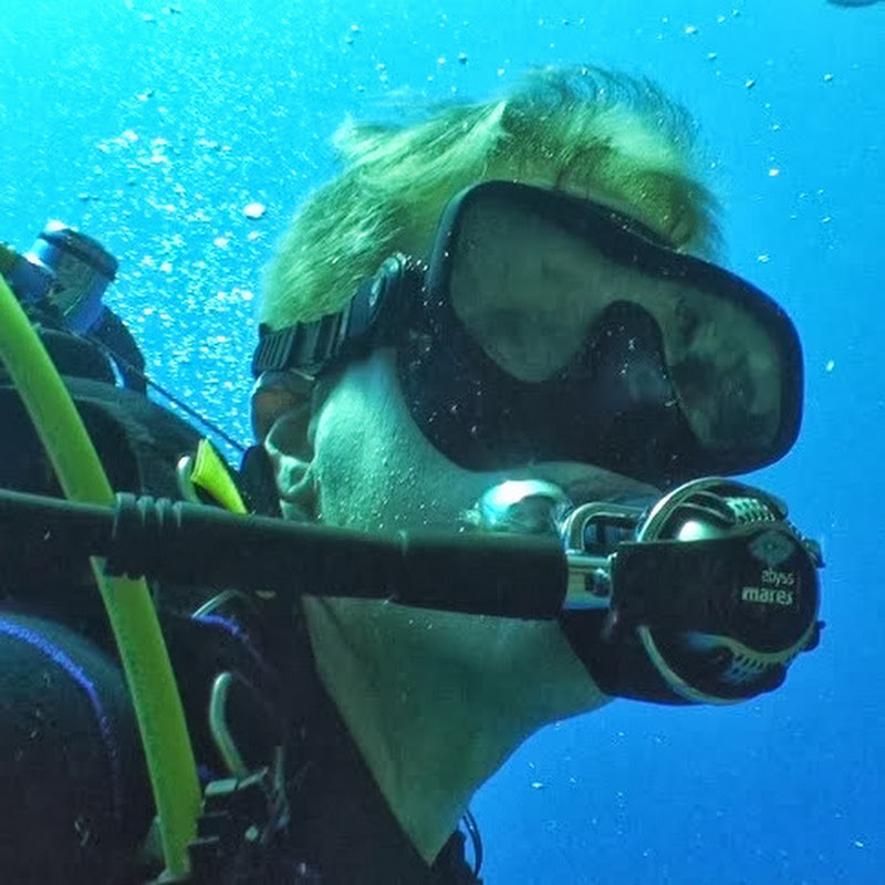 Diving Videos