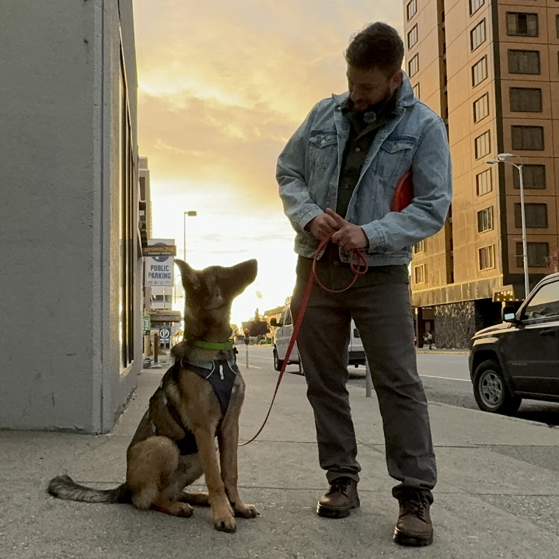 Dog Training Revolution
