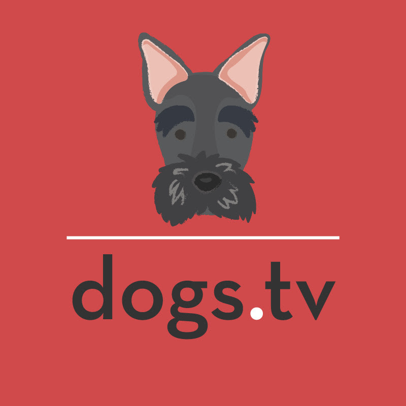 Dogs Tv