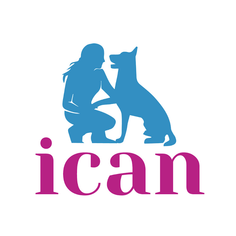 Isabel | Psicología Y Educación Canina