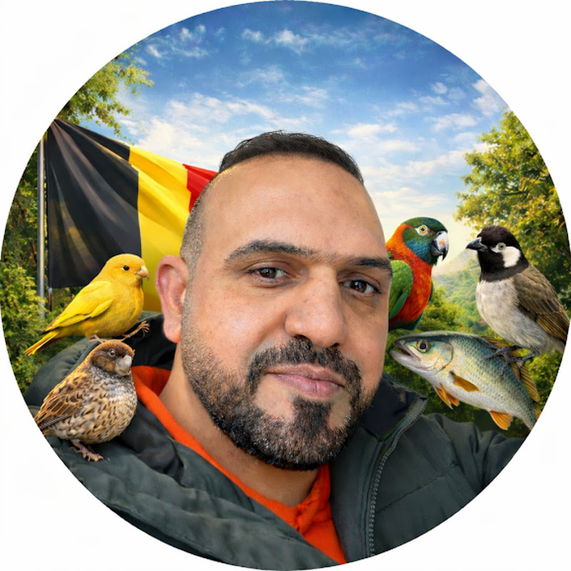 Inside Belgium من داخل بلجيكا