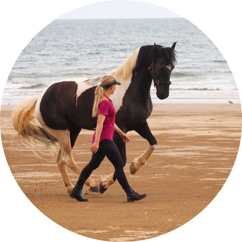 Dr Nadine Lindblom | Equine Connection Academy