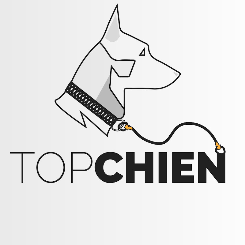 Top Chien
