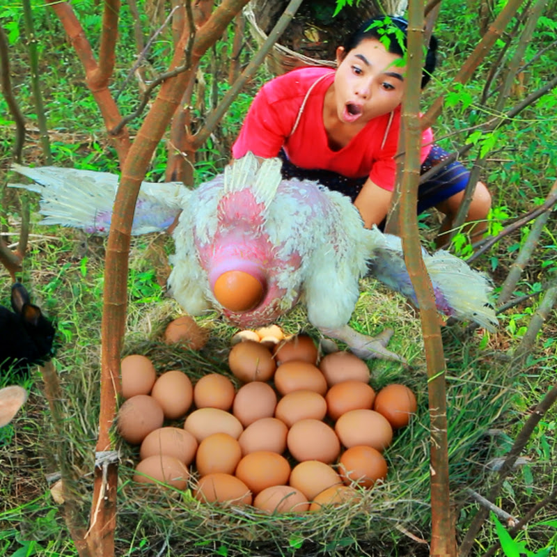 Primitive Technology KH TV