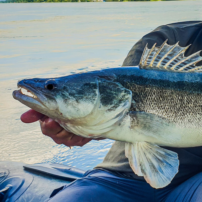 BROsFishingAustria
