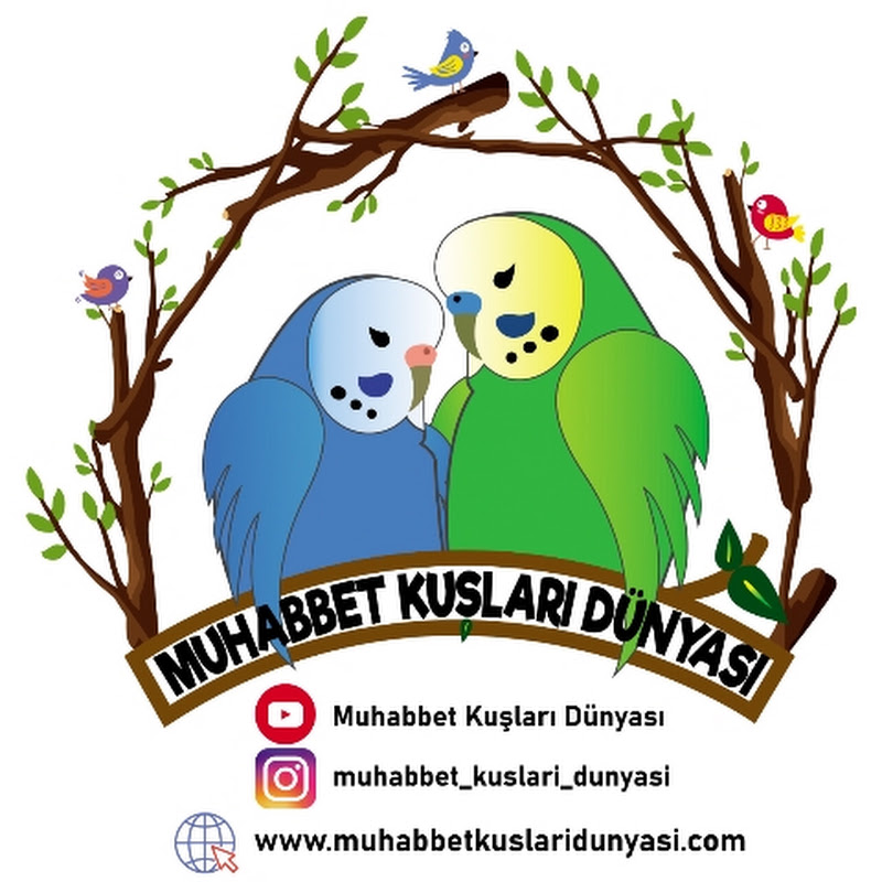 Muhabbet Kuşları Dünyası