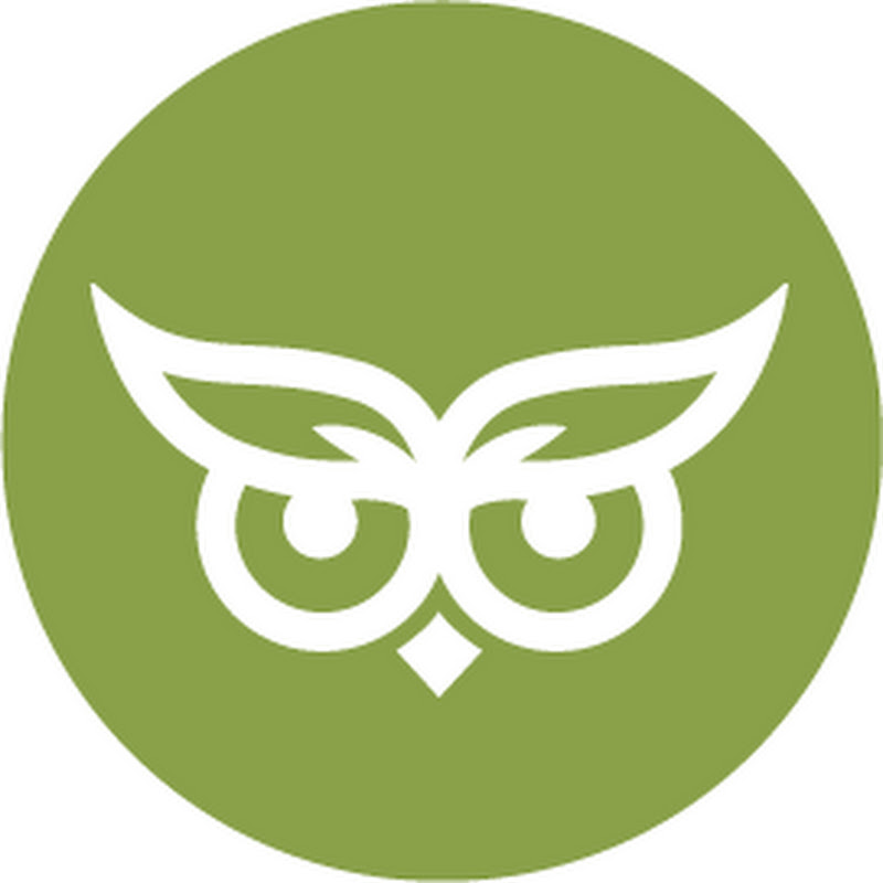 Evergreen Media® • SEO-Agentur