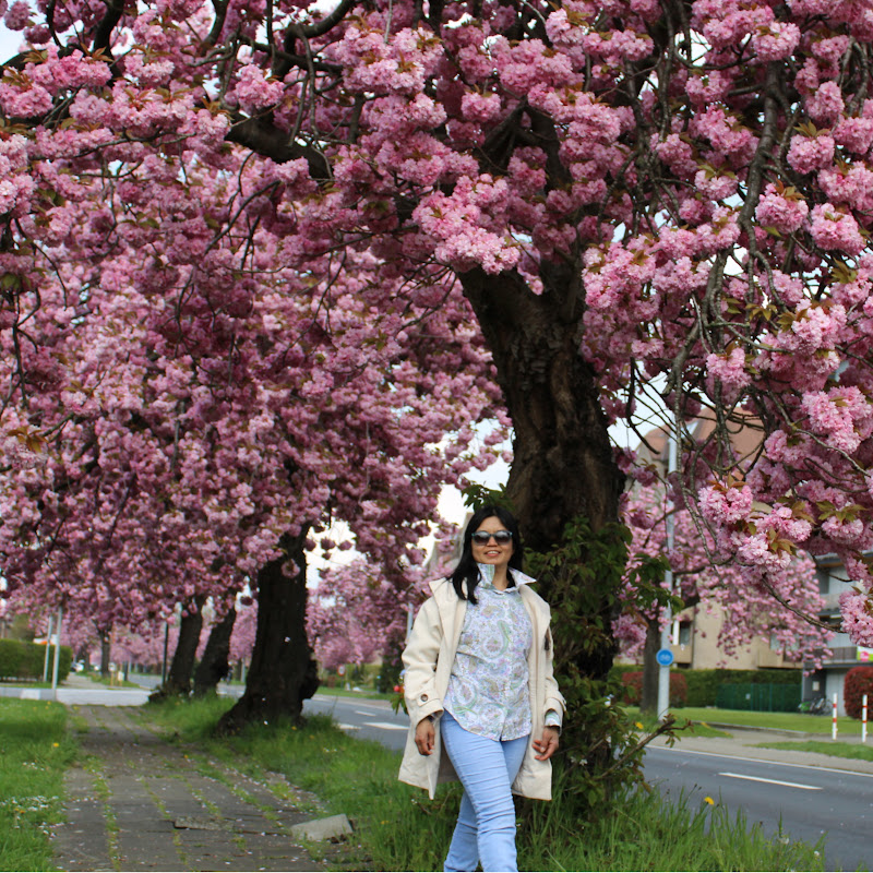 Filipina Belgian Random Life